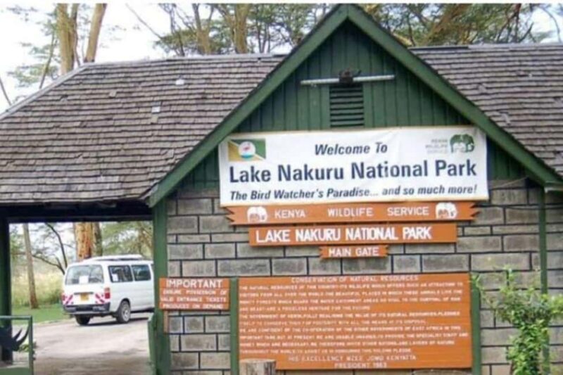 From Nairobi: Lake Nakuru National Park Full-Day Tour - Introduction to the Experience