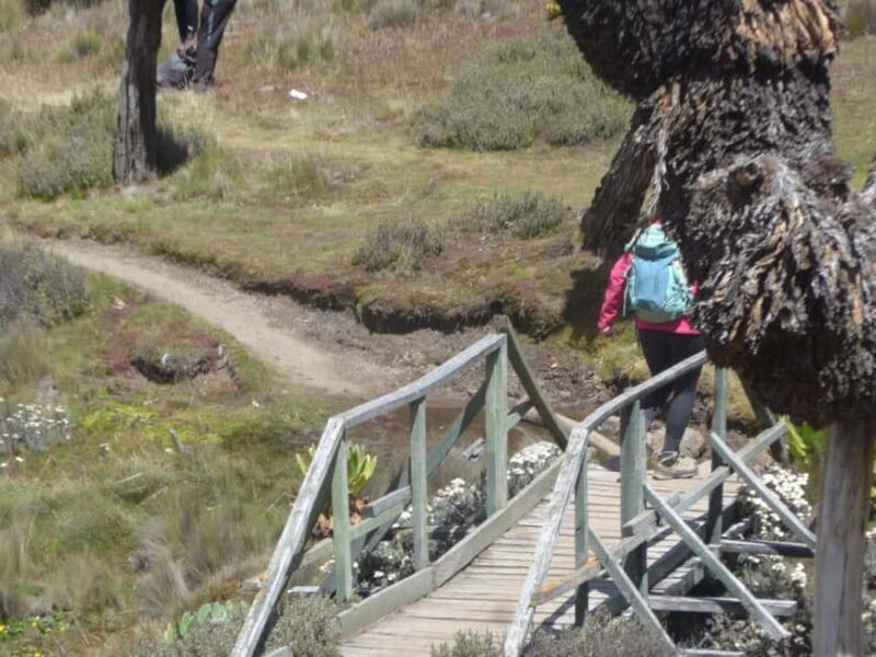 From Nairobi: Mount Kenya 4-Day Trekking Experience - Key Points