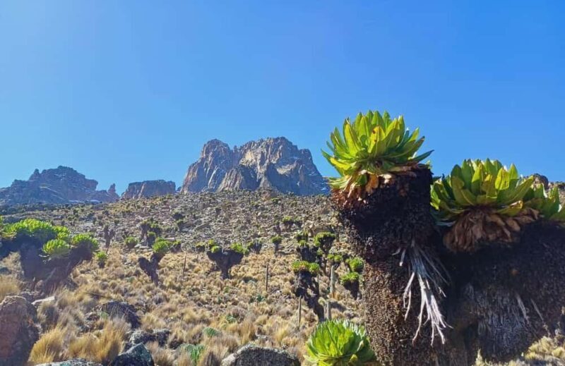 From Nairobi: Mount Kenya 4-Day Trekking Experience - The Experience: What Sets This Tour Apart