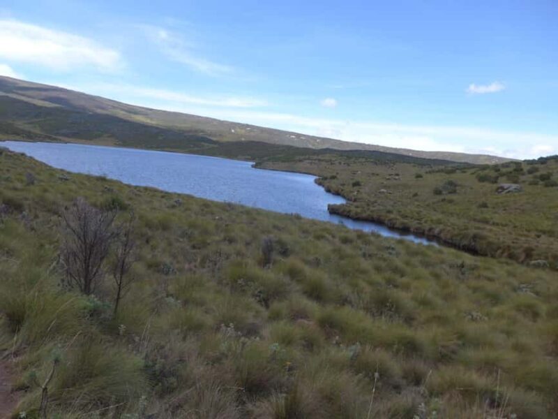 From Nairobi: Mount Kenya 4-Day Trekking Experience - Is It Worth the Price?