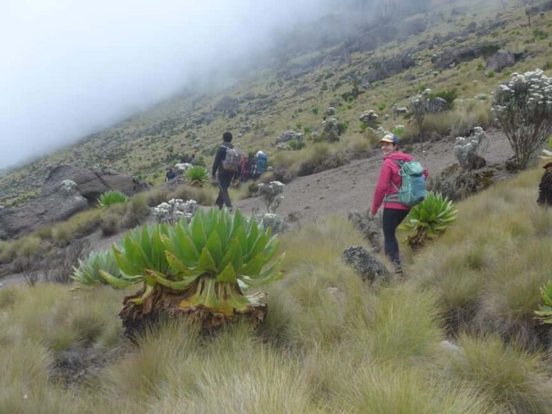 From Nairobi: Mount Kenya 4-Day Trekking Experience - FAQs
