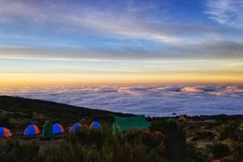 From Nairobi: Mount Kenya Day Hike with Transfers - Authentic Insights from Travelers
