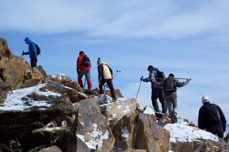 From Nairobi: Mount Kenya National Park Full-Day Hike - The Experience in Detail: What Makes It Special