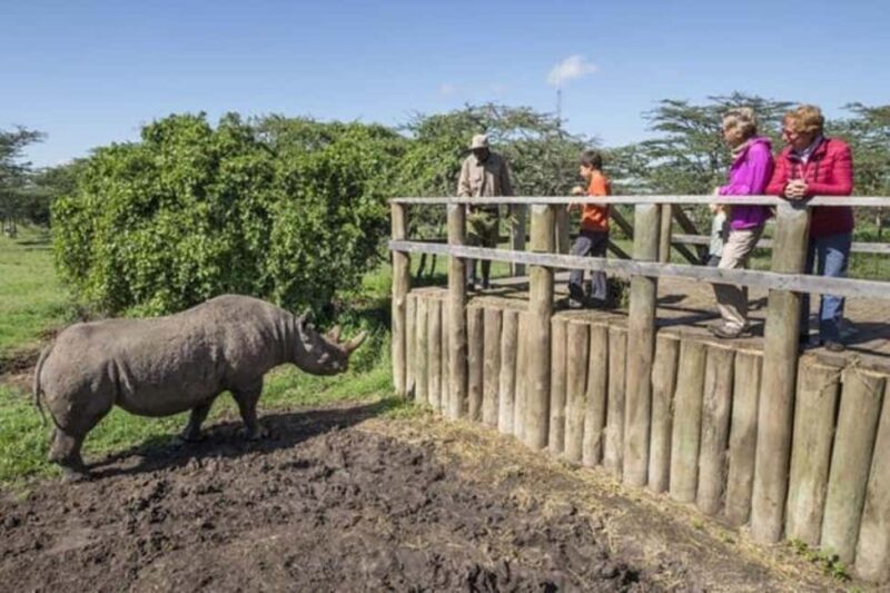 From Nairobi: Ol Pejeta Conservancy Day Trip with Game Drive - Final Thoughts