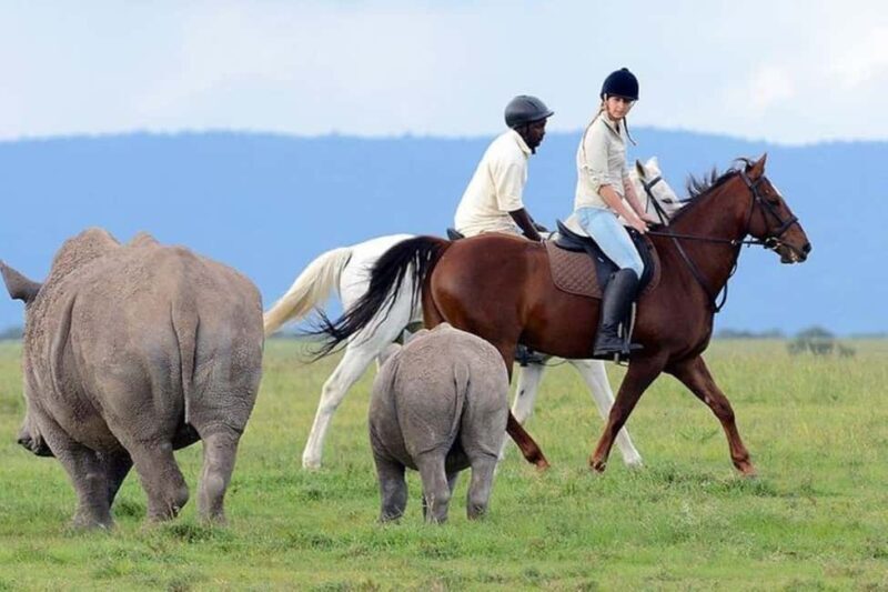From Nairobi: Ol Pejeta Conservancy Day Trip with Game Drive - FAQ