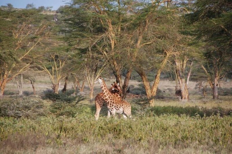 From Nairobi: Overnight Lake Nakuru and Hells Gate - Walking Through Gorges and Caves