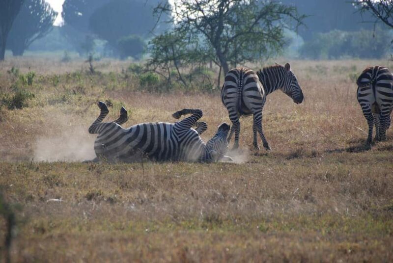 From Nairobi: Overnight Lake Nakuru & Hell's Gate Park - Key Points