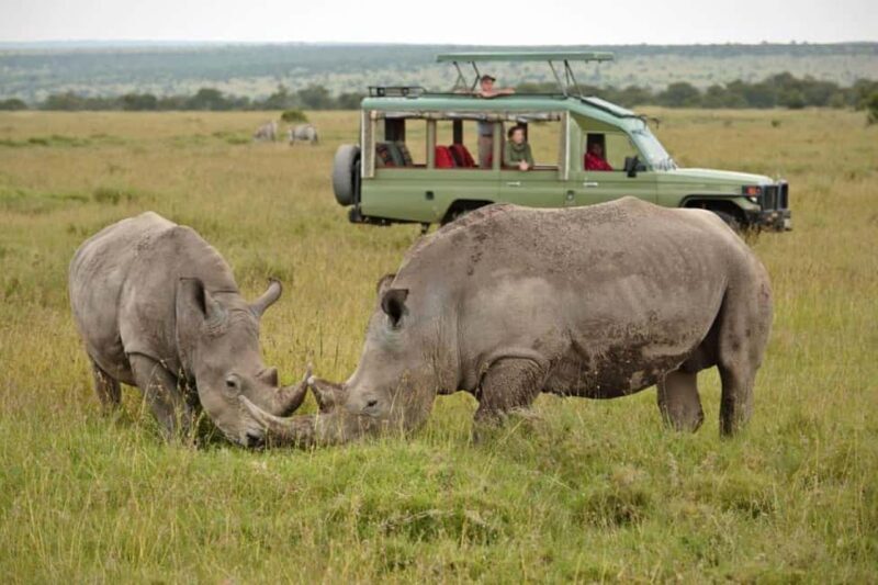 From Nairobi: Overnight Ol Pejeta Conservancy Safari - Key Points  