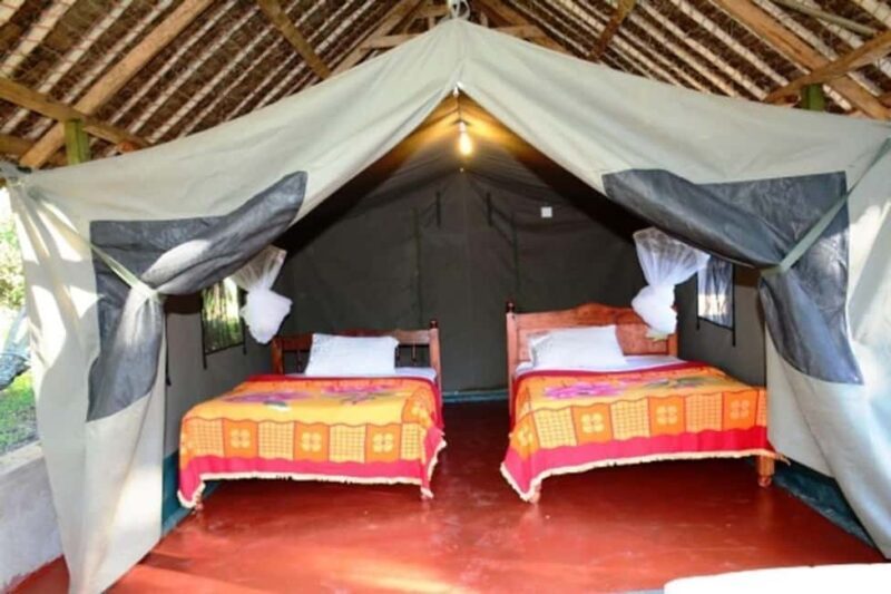 From Nairobi Safari: 4-Day Maasai Mara and Lake Nakuru - An In-Depth Look at the 4-Day Itinerary