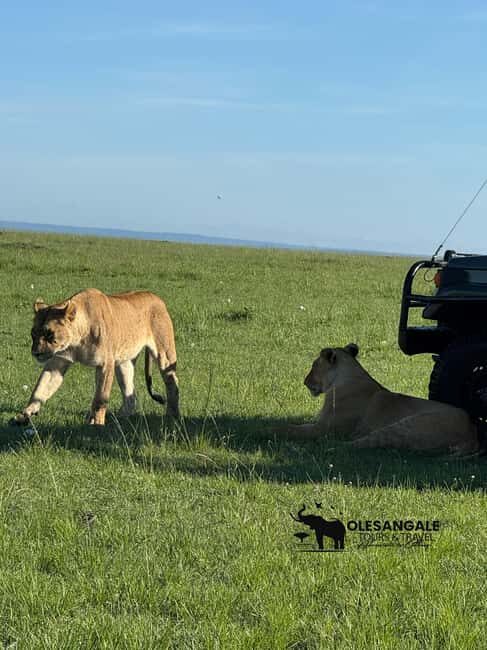 From Nairobi to Masai Mara Reserve & Village visit Day trip - What’s Included & Whats Not