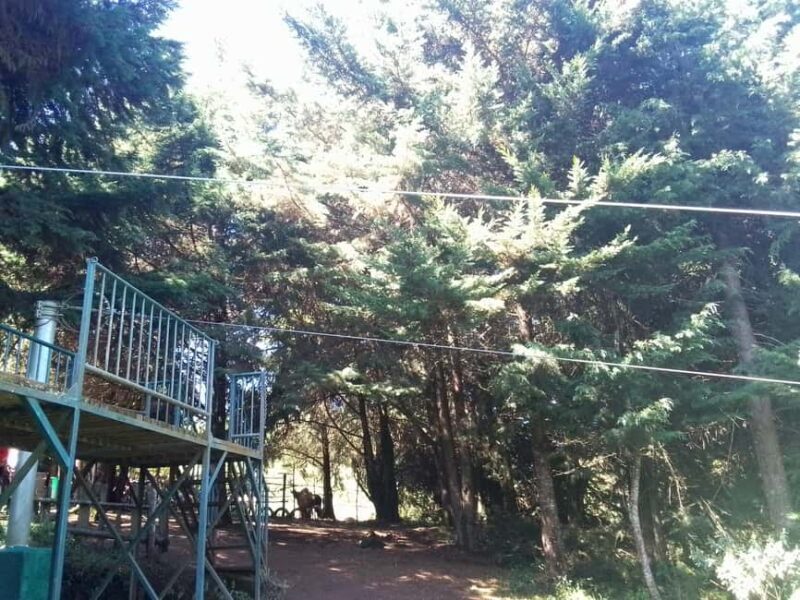 From Nairobi: Zipline Adventure Safari - Things to Consider