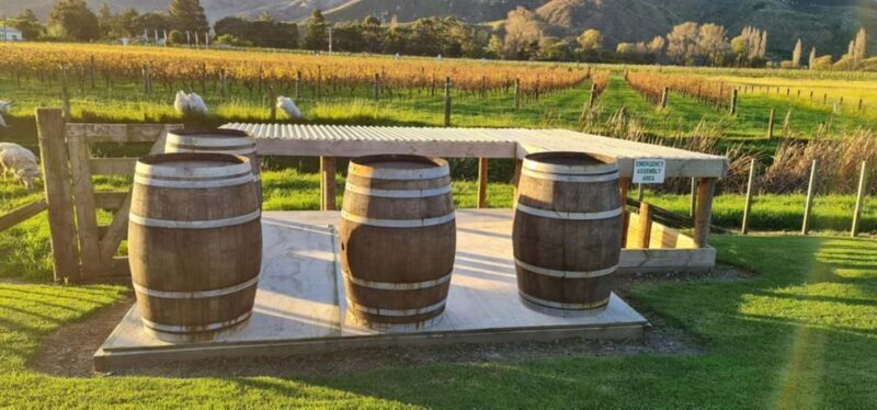 From Napier: Hawke's Bay Small Group Wine Tour - Why This Tour Works Well
