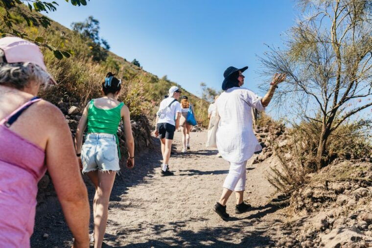 from-naples-all-inclusive-mount-vesuvius-half-day-tour
