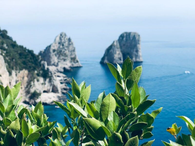 from-naples-capri-and-anacapri-guided-tour