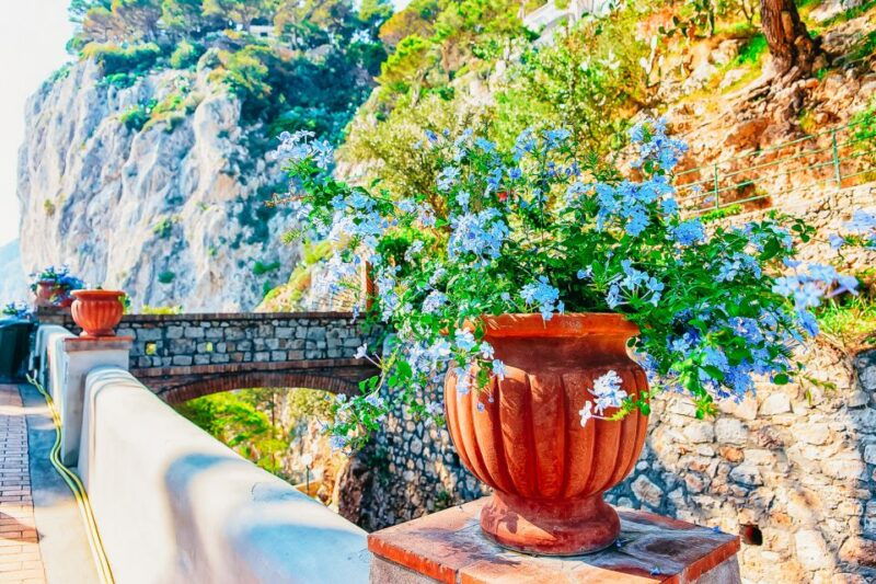 from-naples-capri-and-blue-grotto-day-tour