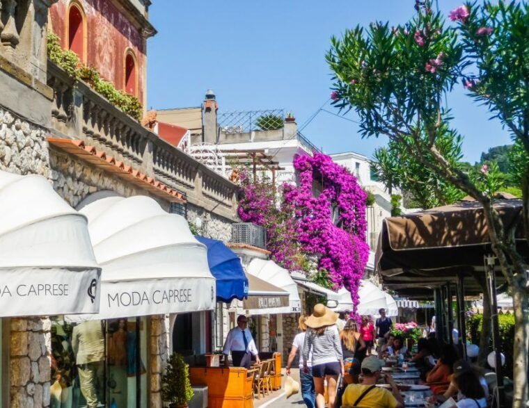 from-naples-capri-guided-tour-with-ferry-tickets-minibus