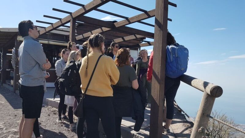 from-naples-day-trip-to-mount-vesuvius-with-alpine-guide
