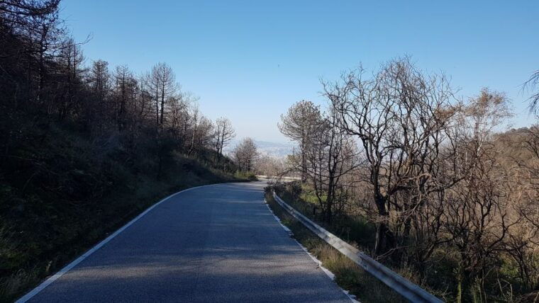 from-naples-day-trip-to-mount-vesuvius-with-alpine-guide