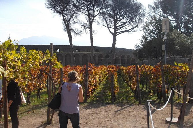 from-naples-enjoy-pompeii-drive-tour-with-official-archaeological-guide