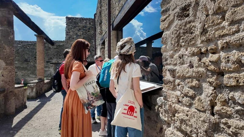 From Naples: Guided walking tour of Pompeii with entry ticket and train - Challenges and Considerations