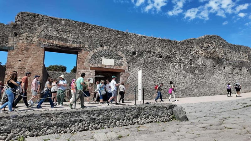 From Naples: Guided walking tour of Pompeii with entry ticket and train - Who Is This Tour Best Suited For?