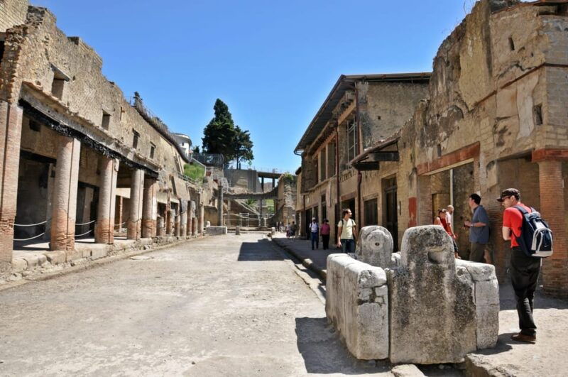 from-naples-half-day-herculaneum-tour-with-lunch