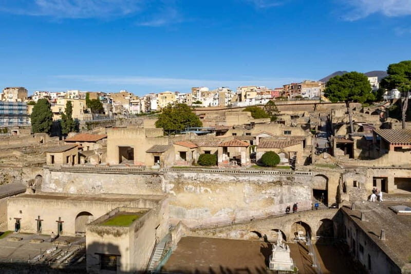 From Naples: Herculaneum Private tour with Tickets - A Closer Look at the Herculaneum Private Tour