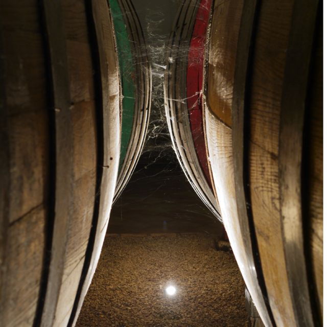 from-naples-irpinia-wine-tour-with-6-tastings