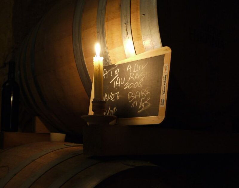 from-naples-irpinia-wine-tour-with-6-tastings