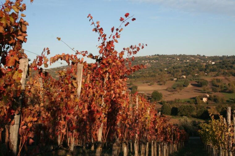 from-naples-irpinia-wine-tour-with-6-tastings