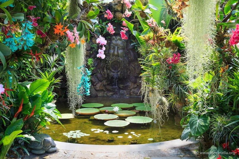 From Naples: Ischia, La Mortella Gardens Day Trip with lunch - Key Points