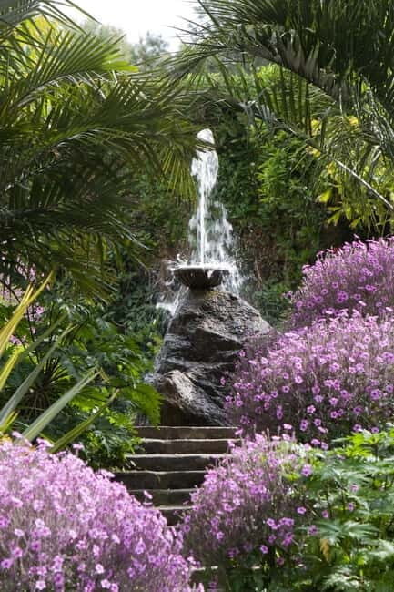 From Naples: Ischia, La Mortella Gardens Day Trip with lunch - Is This Tour Worth It?