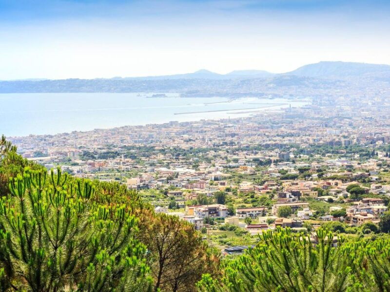 from-naples-mount-vesuvius-transfer-with-entry-tickets