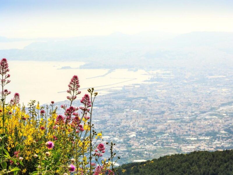 from-naples-mount-vesuvius-transfer-with-entry-tickets