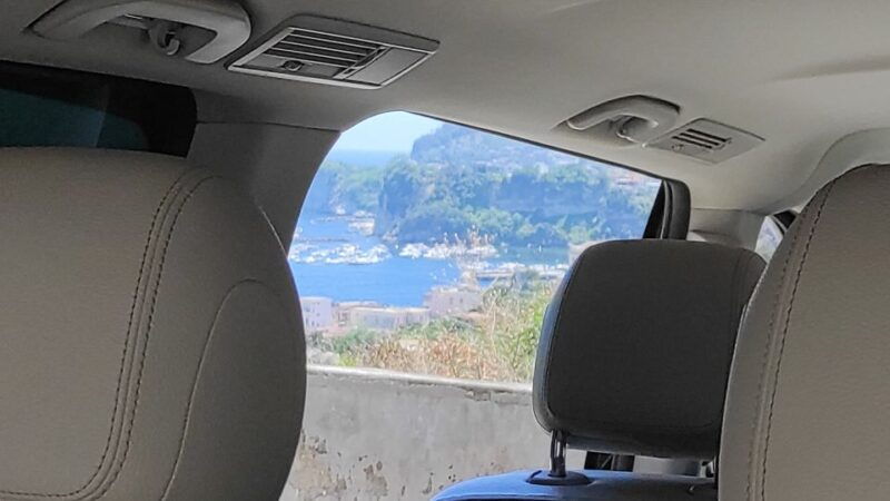 from-naples-phlegraean-fields-baia-archaeological-tour