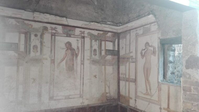 from-naples-phlegraean-fields-baia-archaeological-tour