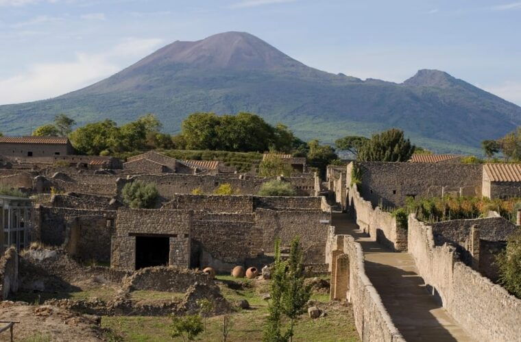from-naples-pompei-and-naples-tour-with-tickets-included