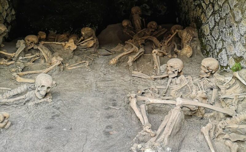 from-naples-pompeii-and-herculaneum-half-day-private-trip