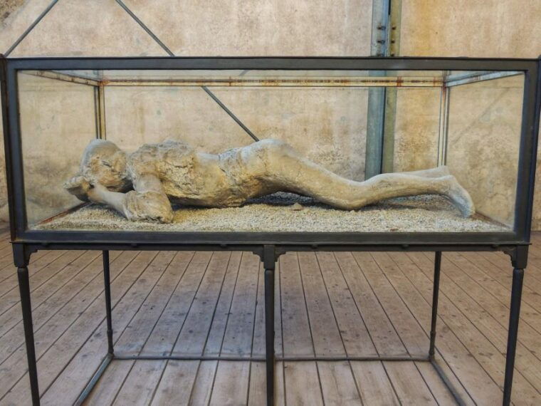 from-naples-pompeii-and-herculaneum-half-day-private-trip