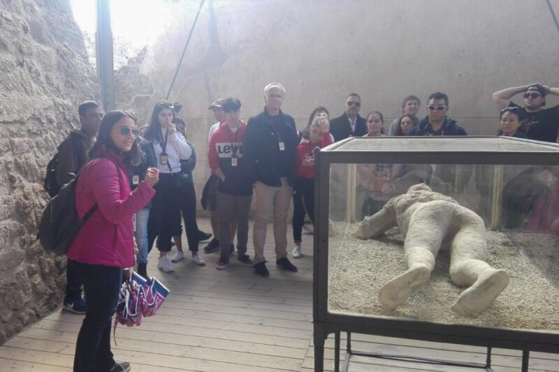from-naples-pompeii-and-herculaneum-tour-with-lunch