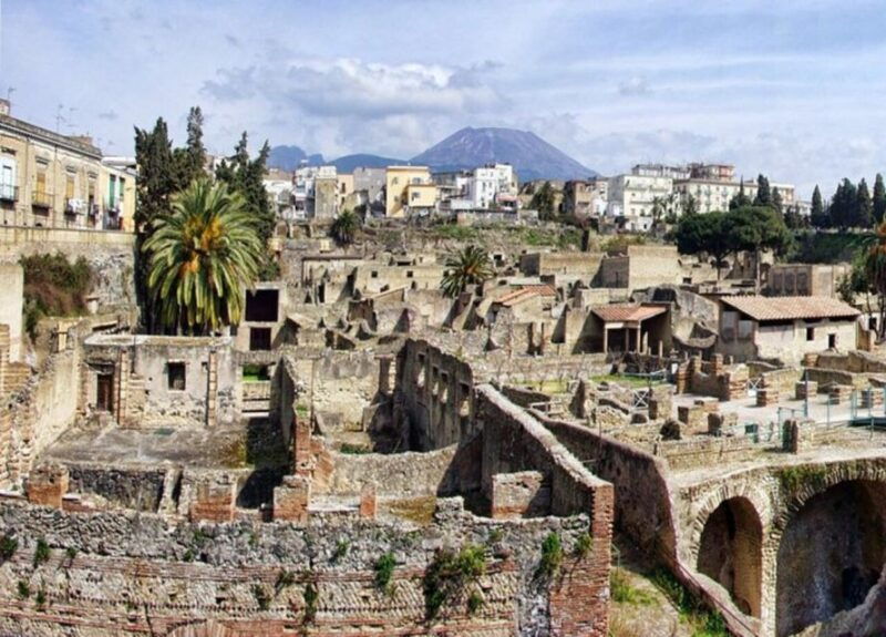 from-naples-pompeii-and-herculaneum-vip-tour-with-lunch