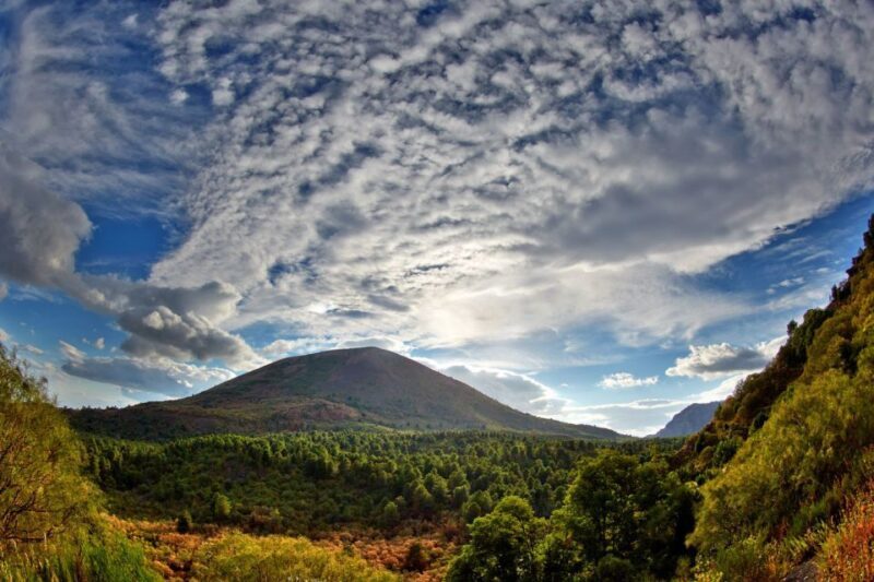 From Naples: Pompeii and Vesuvius Full-Day Tour with Lunch - Key Points