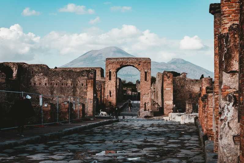 From Naples: Pompeii and Vesuvius Tour with Ticket Options - Authentic Insights from Reviewers