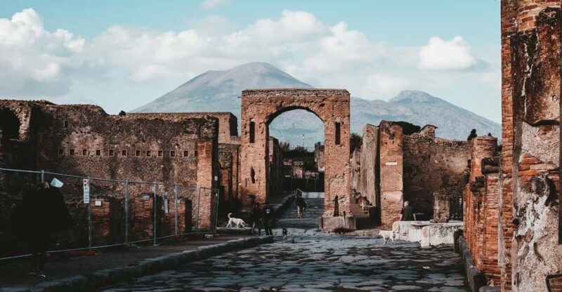 From Naples: Pompeii and Vesuvius Tour with Ticket Options - The Sum Up