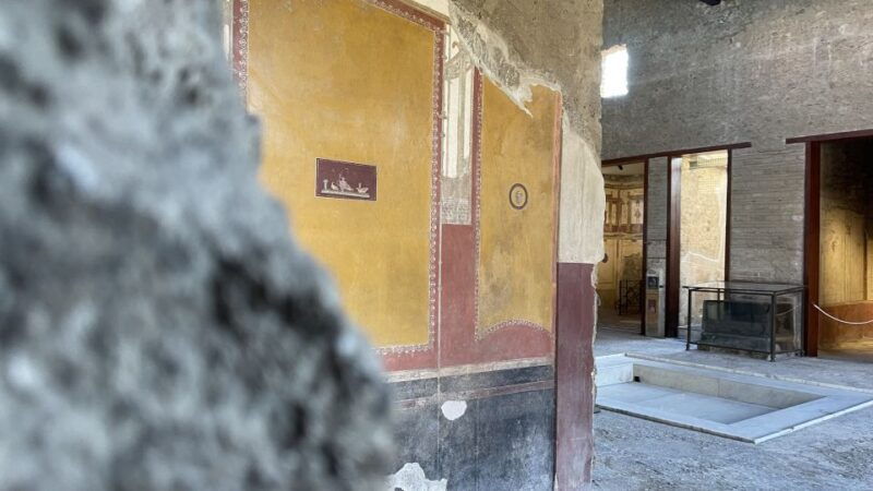from-naples-pompeii-guided-tour-with-skip-the-line-tickets
