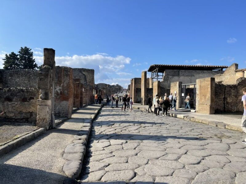 from-naples-pompeii-guided-tour-with-skip-the-line-tickets