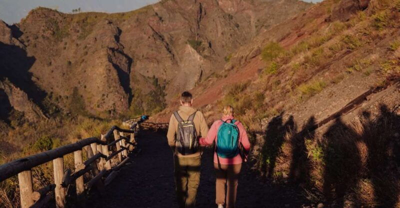 from-naples-pompeii-mount-vesuvius-full-day-private-tour