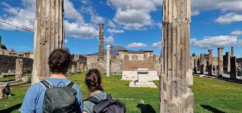 From Naples: Pompeii Private Tour with Transfer and Guide - What You Can Expect from This Pompeii Tour