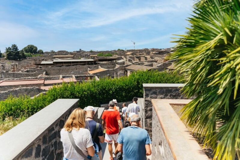 from-naples-pompeii-ruins-mount-vesuvius-day-tour