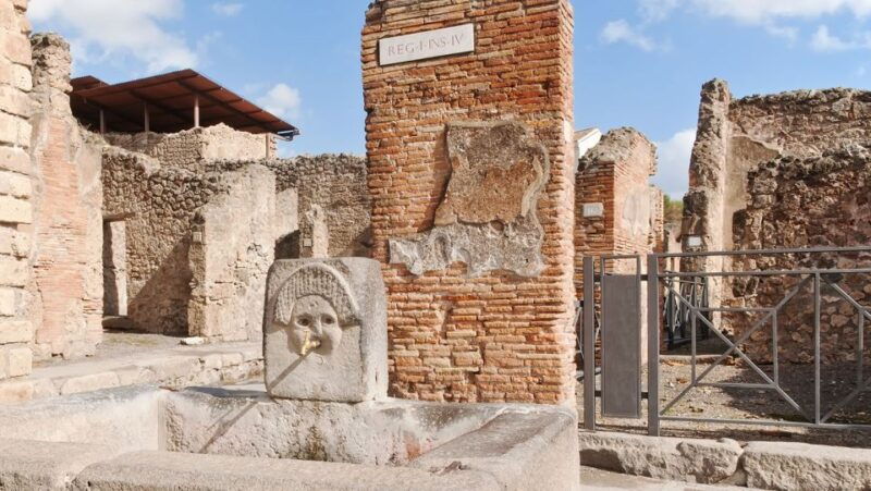 from-naples-pompeii-ruins-vip-guided-tour